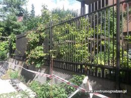 20160822 154409 Kopiowanie 20160822 154409 Kopiowanie