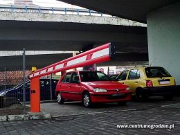 Zdjęcie0194 Zdjęcie0194