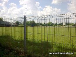 Zdjęcie0230 Zdjęcie0230