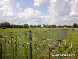 Zdjęcie0231 Zdjęcie0231