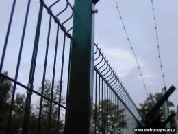 coca03 LRG coca03 LRG