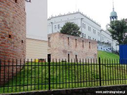 dronski04 LRG dronski04 LRG