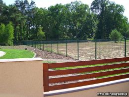 grzepnica06 LRG grzepnica06 LRG