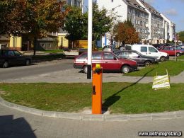 lechonia03 LRG lechonia03 LRG