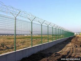 lotgol02 LRG lotgol02 LRG