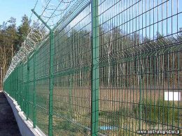 lotgol03 LRG lotgol03 LRG