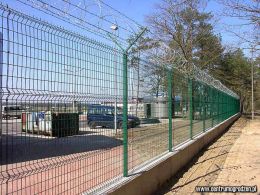 lotgol05 LRG lotgol05 LRG