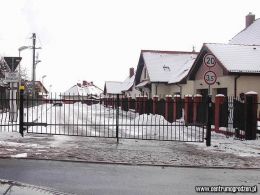 miodowe01 LRG miodowe01 LRG