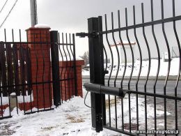 miodowe04 LRG miodowe04 LRG