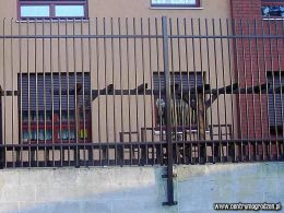 plater03 LRG plater03 LRG