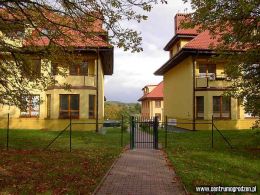 rodak01 LRG rodak01 LRG