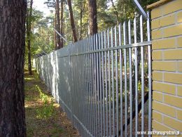 wiking04 LRG wiking04 LRG