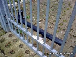 Zdjęcie0262 Zdjęcie0262