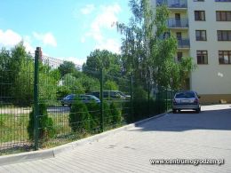 IMG 1341 NEW IMG 1341 NEW